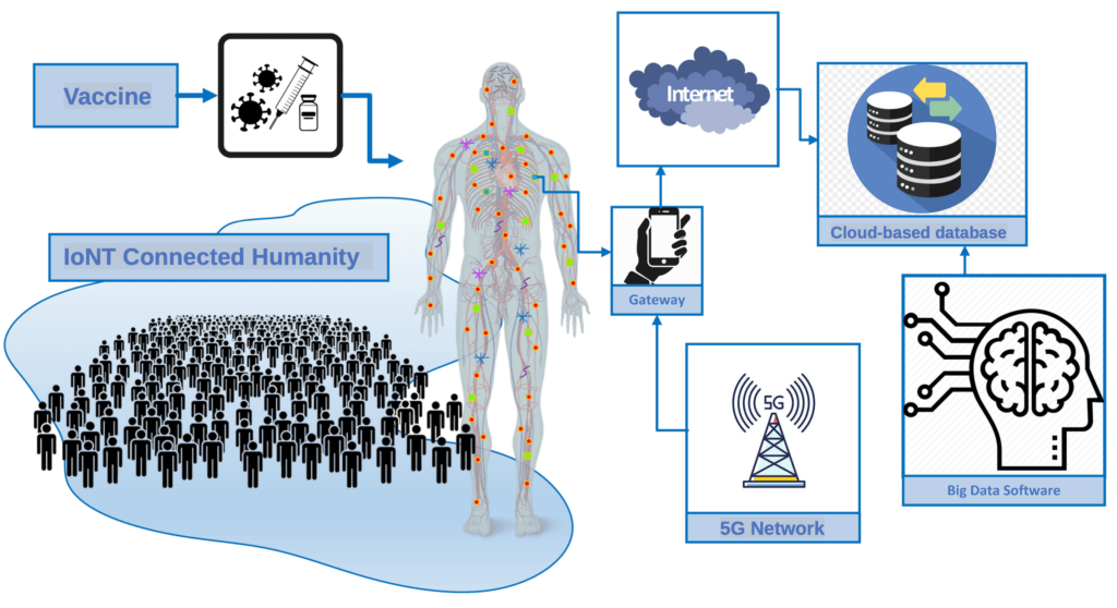 2 Processus de nanocommunication intracorporelle