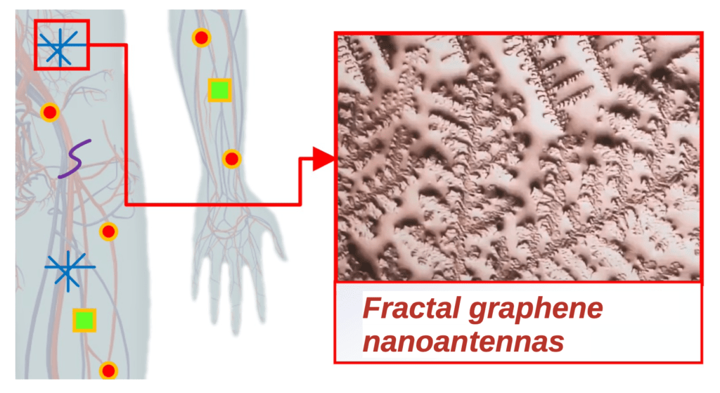 Fractal graphene nanoantennas