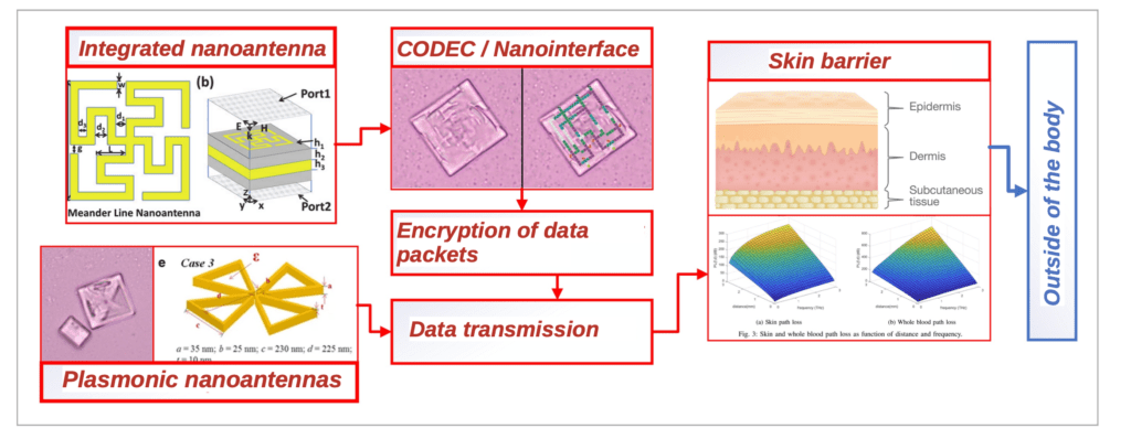 Nanointerface