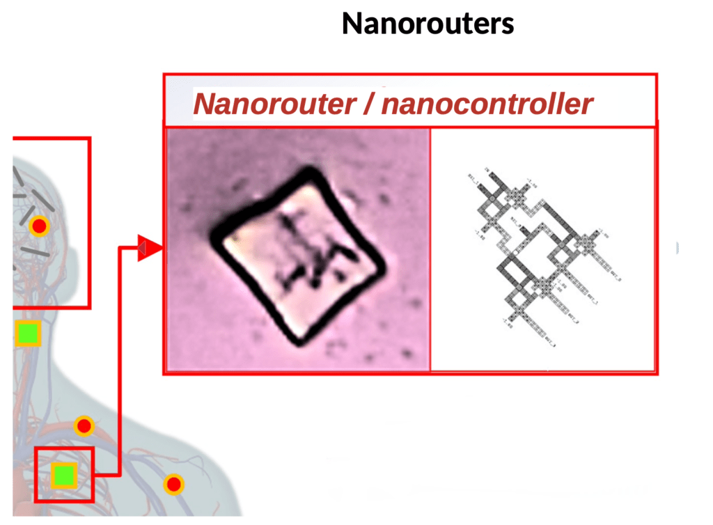 Nanorouters