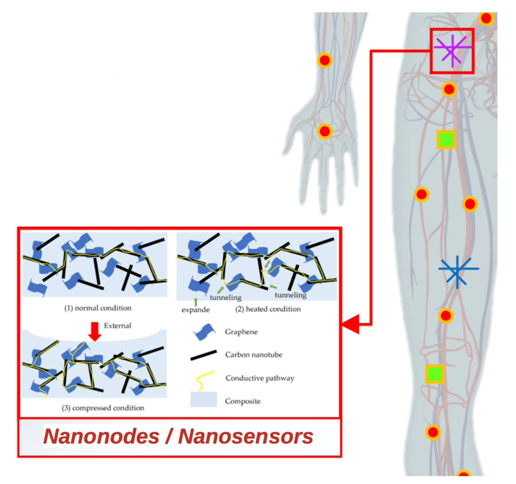 Nanosensors