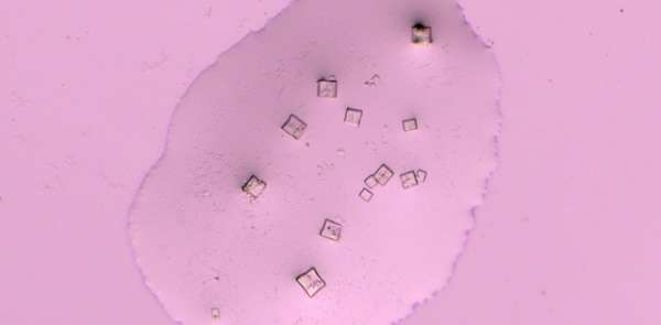 Circuit d'oxyde de graphène et de nano-routeur dans des vaccins Covid