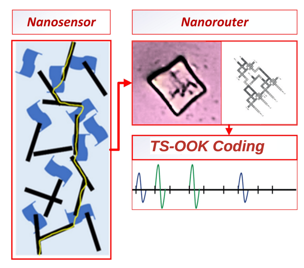 nanorouterdoesnotneedaprocessorto operate